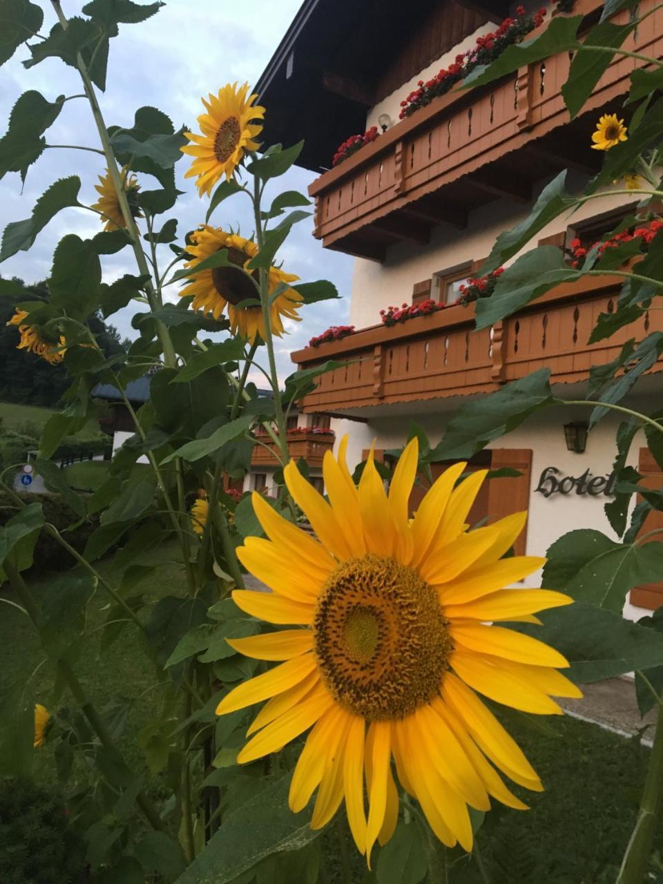 Alpenhotel Weiherbach Berchtesgaden Hallenbad Und Sauna Екстериор снимка